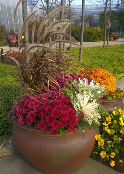 transition to fall: Inspire Floral pot and container design